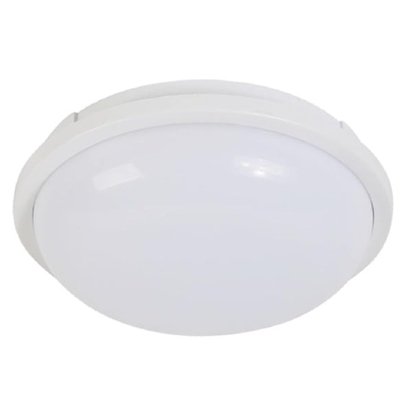 25W White LED Light