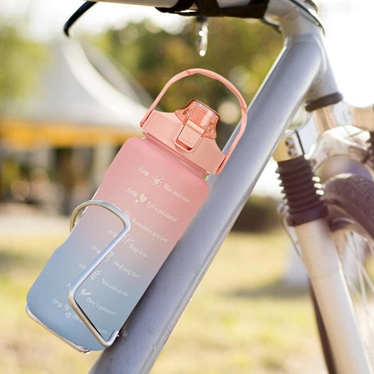 Set Of 3 Aquatic Liquid Bottle