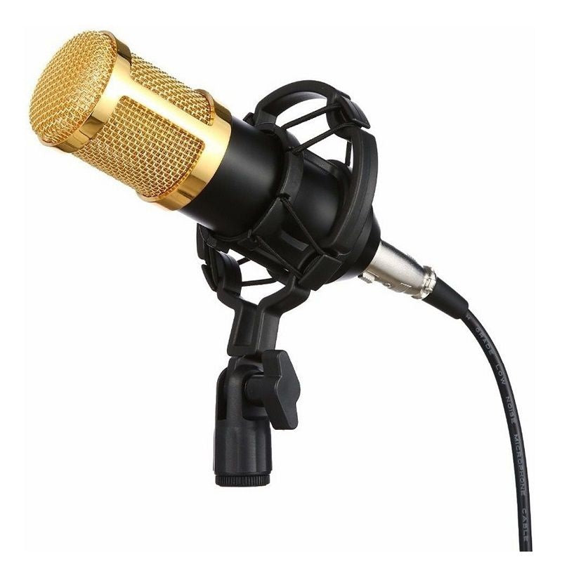 Condenser Microphone With Shock Mount & Anti Wind Foam Cap - Gold
