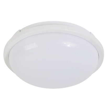 25W White LED Light