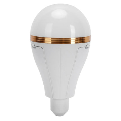 30W Rechargeable LED Bulb Light
