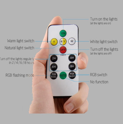 Solar Powered Garden Light RGB ,White & Warm White With Remote Control