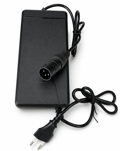 54.6V 5A Fast Lithium-Ion Battery Charger with XLR Connector – For 48V E-Bike, Scooter & Lithium Battery Packs