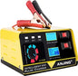 Automotive Battery Repair 12V 24V Car Battery Charger
