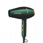 Professional Hair Dryer 4000W