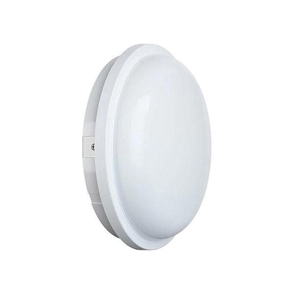 25W White LED Light