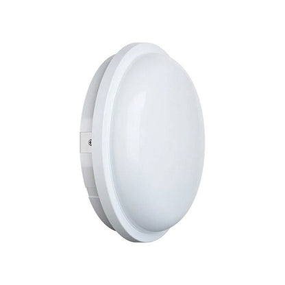 25W White LED Light