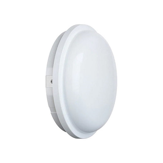 25W White LED Light