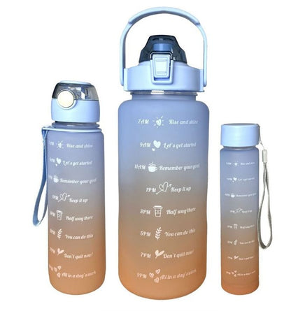 Set Of 3 Aquatic Liquid Bottle