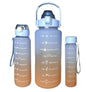 Set Of 3 Aquatic Liquid Bottle