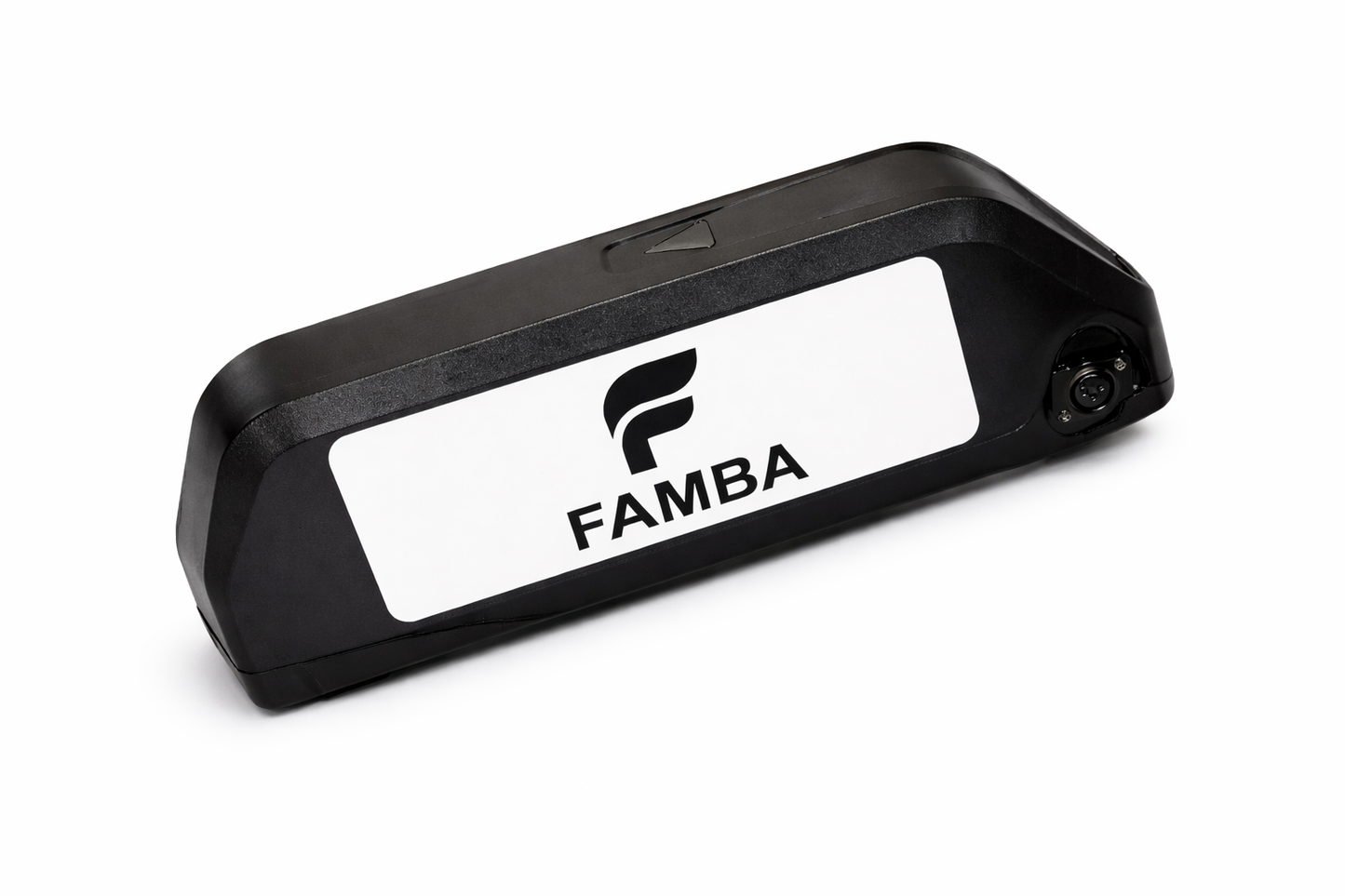FAMBA 48V 24Ah Lithium-Ion E-Bike Battery – High-Capacity Electric Bike Battery Pack with Charger & Mounting Rail, Compatible with 250W, 500W & 1000W E-Bike Motors