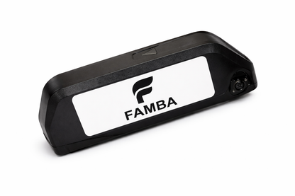 FAMBA 48V 24Ah Lithium-Ion E-Bike Battery – High-Capacity Electric Bike Battery Pack with Charger & Mounting Rail, Compatible with 250W, 500W & 1000W E-Bike Motors