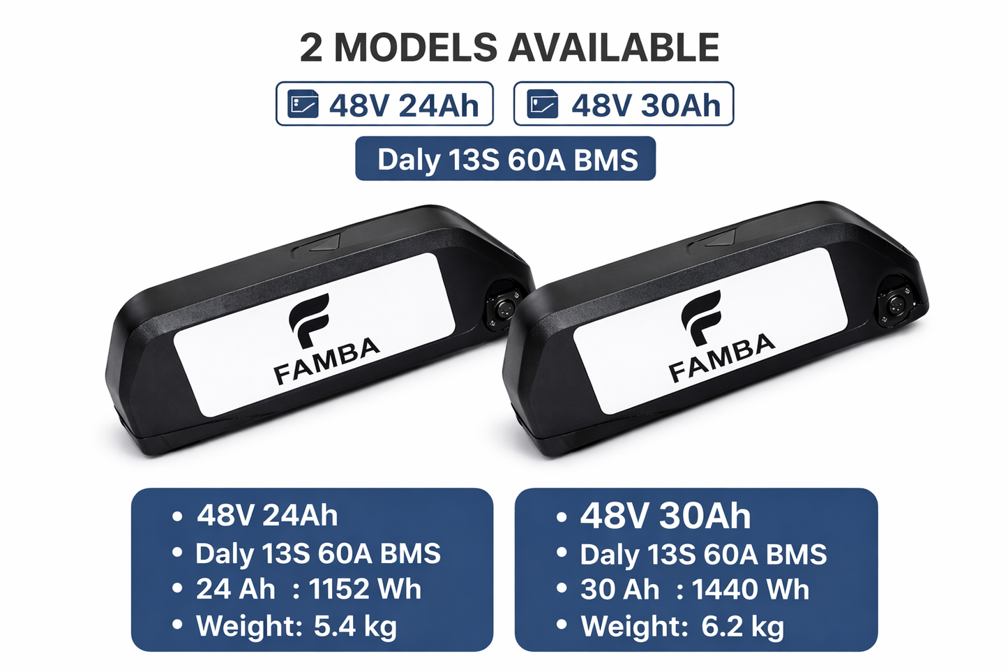 FAMBA 48V 24Ah Lithium-Ion E-Bike Battery – High-Capacity Electric Bike Battery Pack with Charger & Mounting Rail, Compatible with 250W, 500W & 1000W E-Bike Motors