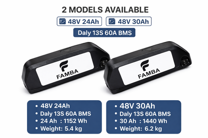 FAMBA 48V 24Ah Lithium-Ion E-Bike Battery – High-Capacity Electric Bike Battery Pack with Charger & Mounting Rail, Compatible with 250W, 500W & 1000W E-Bike Motors