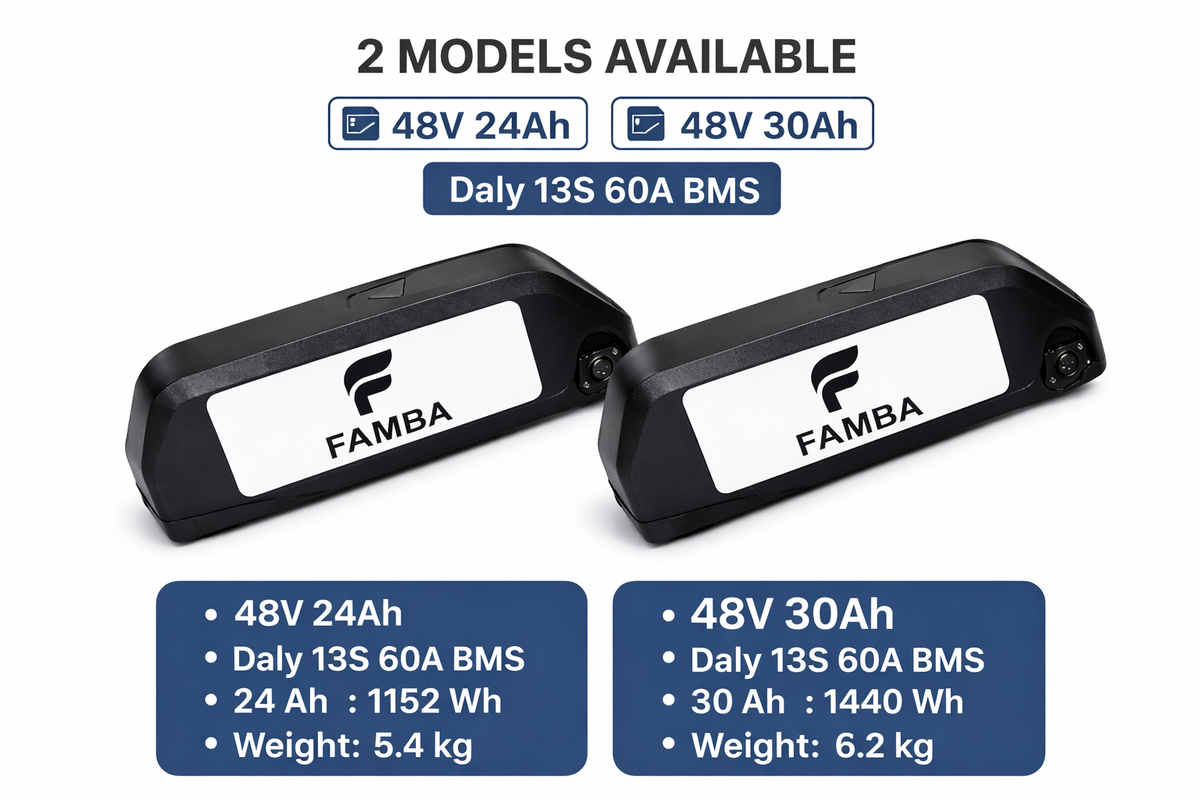 FAMBA 48V 30Ah Lithium-Ion E-Bike Battery – High-Capacity Electric Bike Battery Pack with Charger & Mounting Rail, Compatible with 250W, 500W & 1000W E-Bike Motors