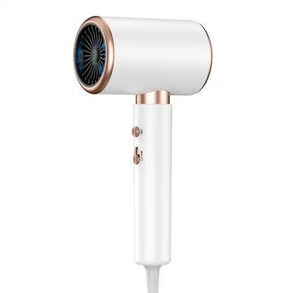 2400W Salon Hair Dryer