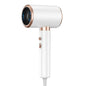 2400W Salon Hair Dryer