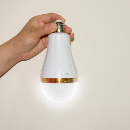 30W Rechargeable LED Bulb Light