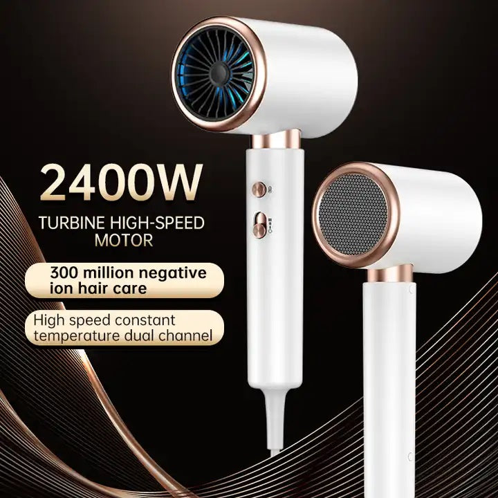 2400W Salon Hair Dryer
