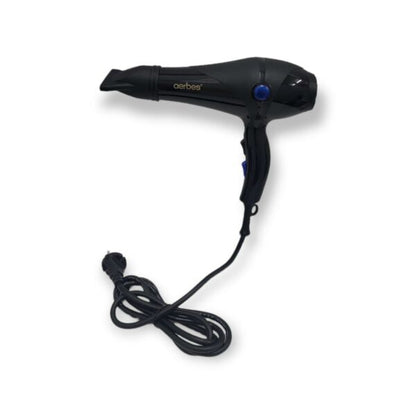 StylePro 4-In-1 Professional Hair Dryer