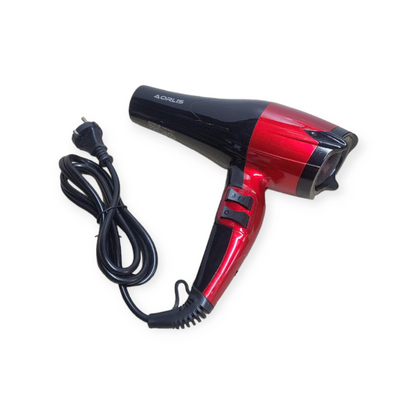 3000W AC Motor Pro Hair Dryer