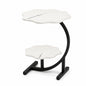 Modern 2-Tier Flower-Shaped Side Table with Black Metal Frame – Sofa, Bedside & Living Room Storage Table (White)