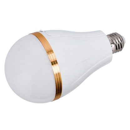 30W Rechargeable LED Bulb Light