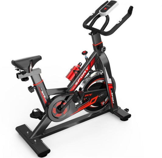 Pro Sport Exercise Bike