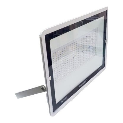 LED Outdoor Flood Light