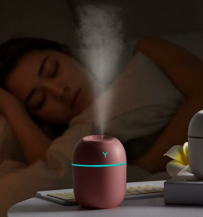 Mini Humidifier For Home, Car With LED Light