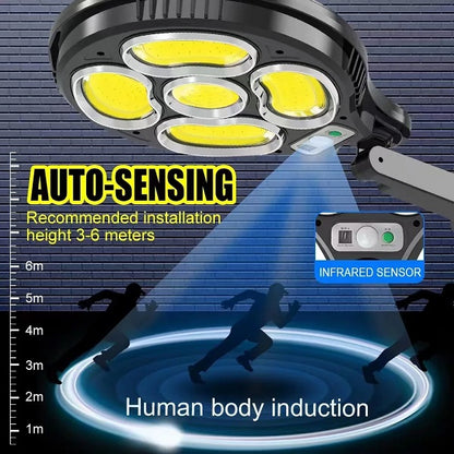 Solar Power Cob Street Light