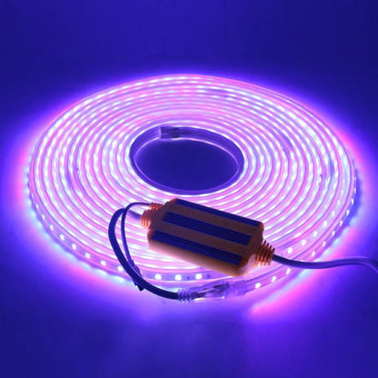 12MM RGB Waterproof LED Controller Strip Lights