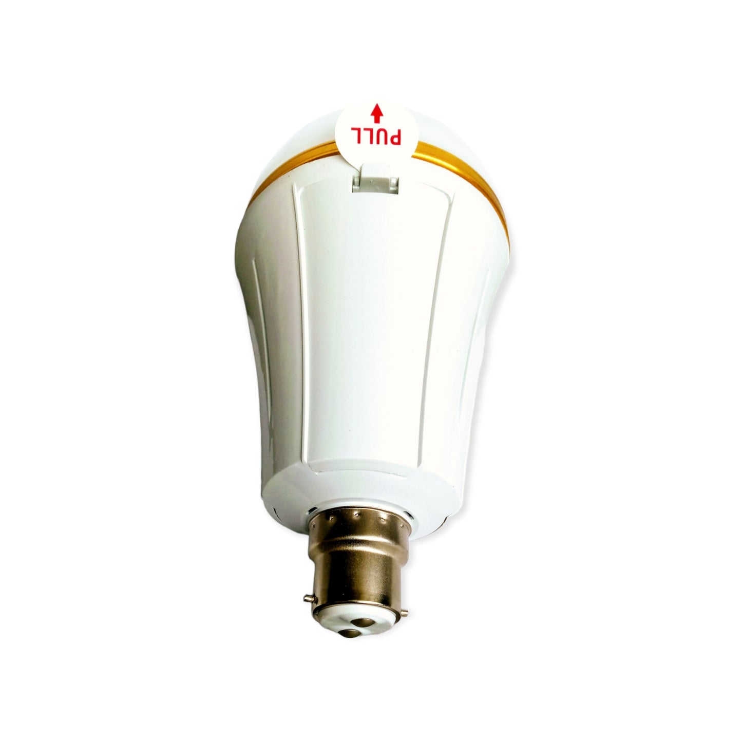 30W Rechargeable Power LED Bulb Light