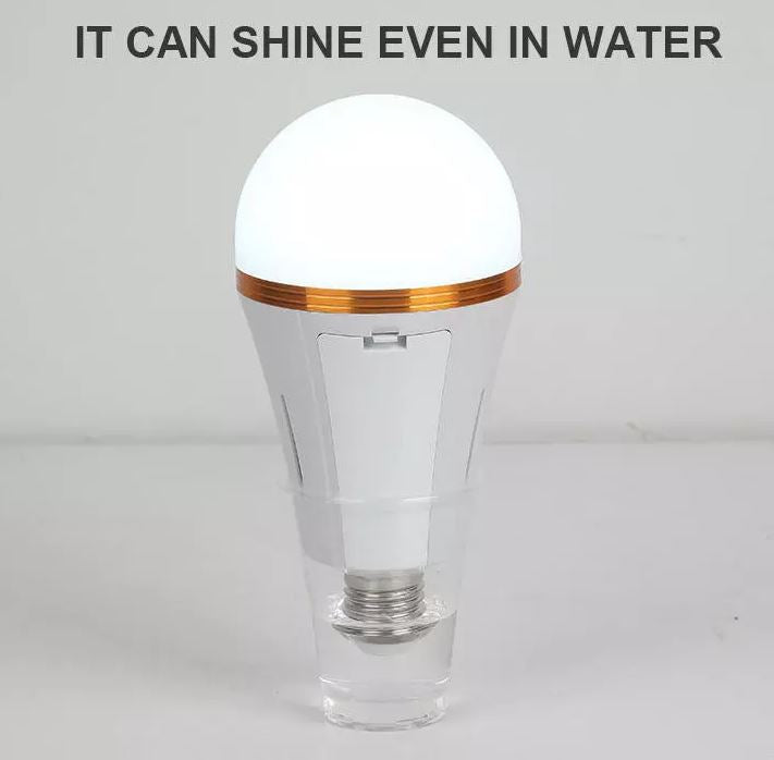 30W Rechargeable LED Bulb Light
