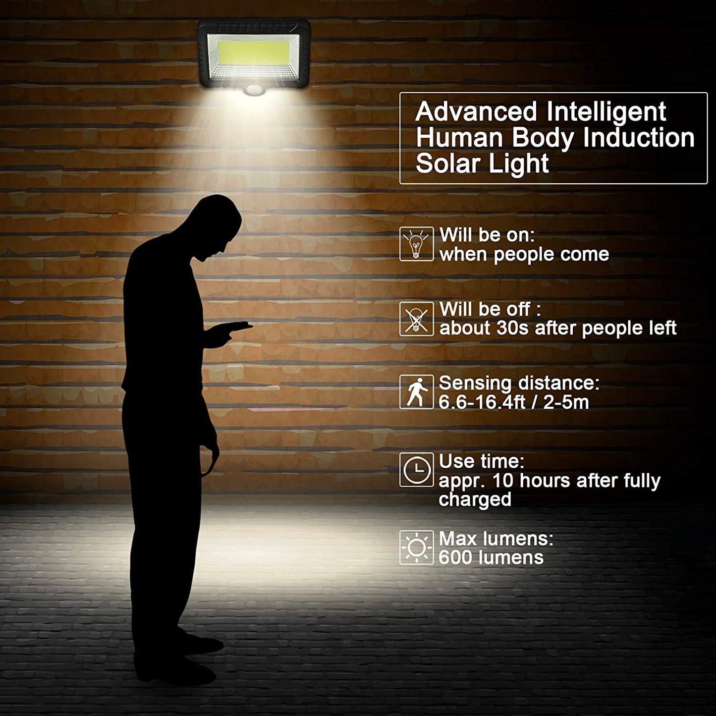 30W Solar Powered 100 COB Wall Lamp